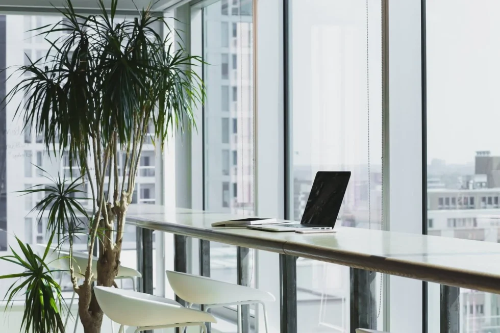 Why Office Cleaning in Sydney Keeps the Team Healthy During Hay Fever Season