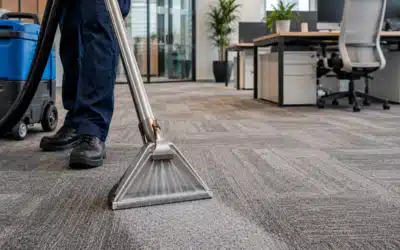 What Professional Carpet Cleaners Assess Before Giving You a Quote